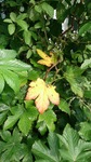 DSC_0042.jpg